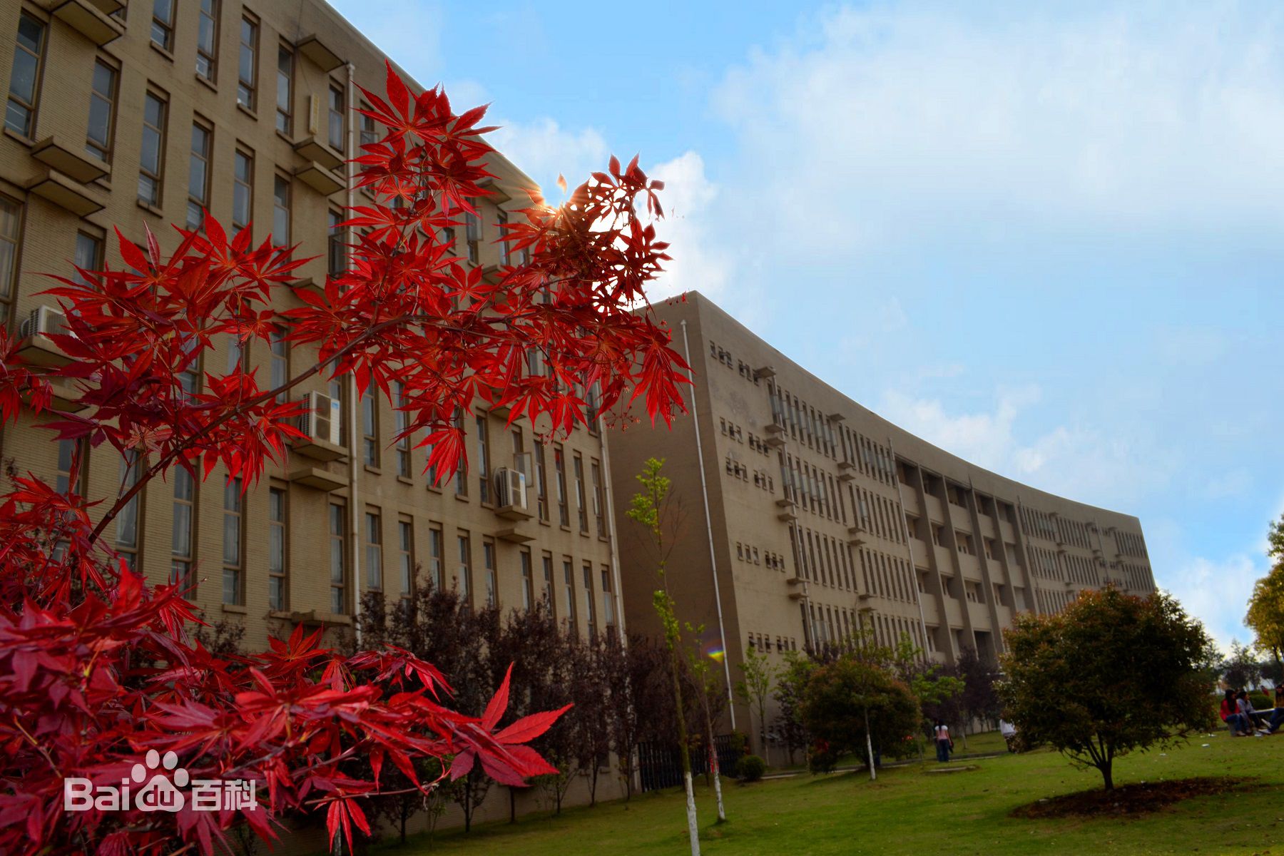 武昌職業(yè)學(xué)院怎么樣地址在哪?專(zhuān)業(yè)有哪些?2023學(xué)校學(xué)費標準多少