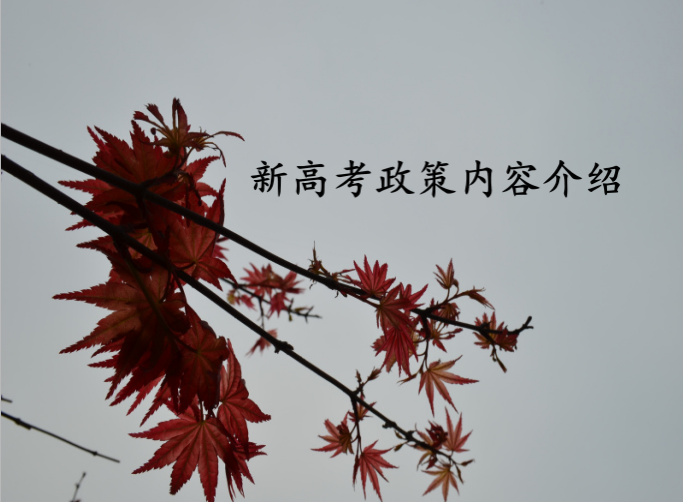 2023新高考政策出爐內容介紹,新高考政策是否會(huì )取消復讀?
